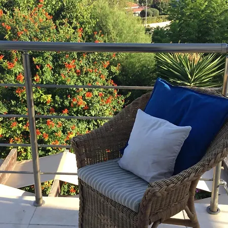 House - Image 피조우리