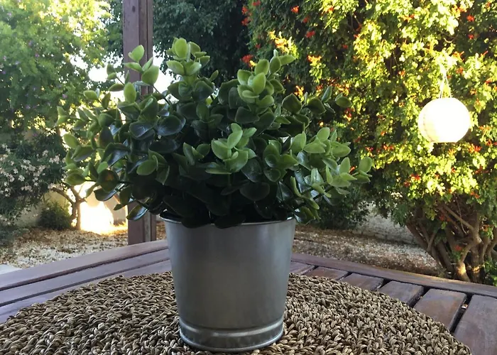 House - Image Villa Pissouri